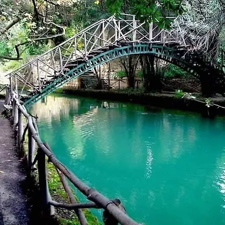 Melograno Di Rodi 3 *